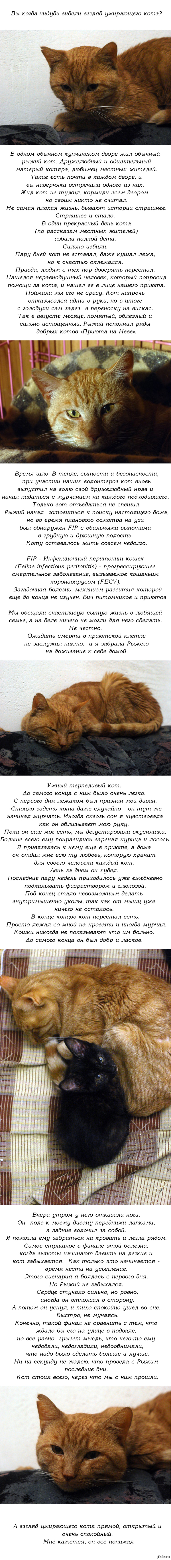Кракен аккаунт не найден