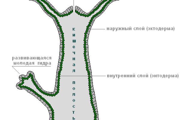 Какая ссылка у кракена