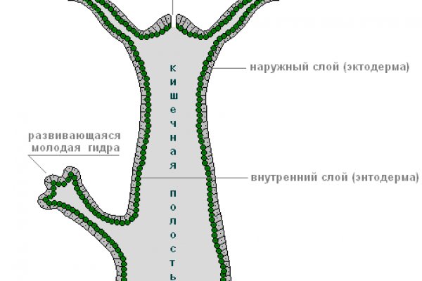 Кракен зеркало сайта